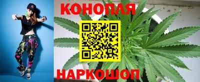 кокс Гудермес
