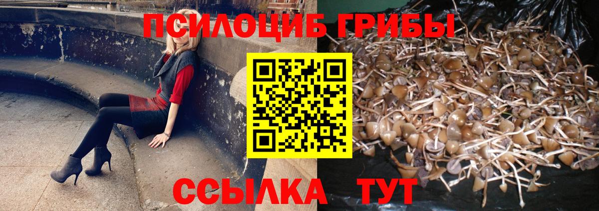Урай  закладки  Вход с VPN  Псилоцибиновые грибы MAGIC MUSHROOMS 