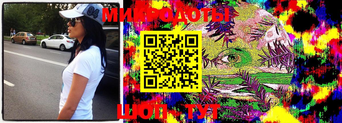 Галлюциногенные грибы Psilocybe Урай